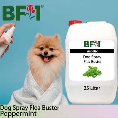 Dog Spray Flea Buster (DSY-Dog) - mint - Peppermint - 25L ⭐⭐⭐⭐⭐