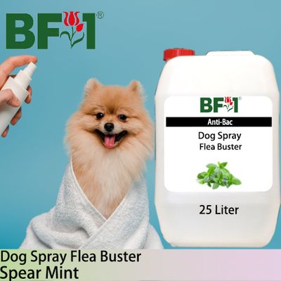 Dog Spray Flea Buster (DSY-Dog) - mint - Spear Mint - 25L ⭐⭐⭐⭐⭐