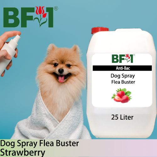 Dog Spray Flea Buster (DSY-Dog) - Strawberry - 25L ⭐⭐⭐⭐⭐