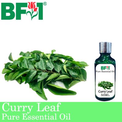 Pure Essential Oil (EO) - Curry Leaf Essential Oil - 50ml