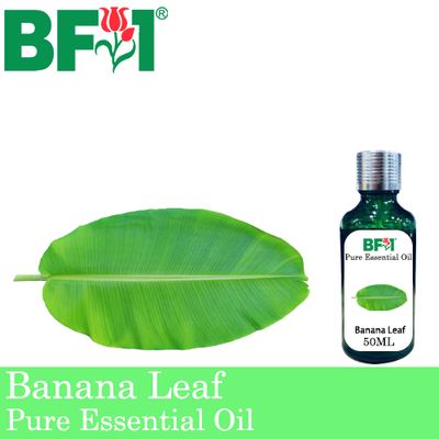Pure Essential Oil (EO) - Banana Leaf Essential Oil - 50ml