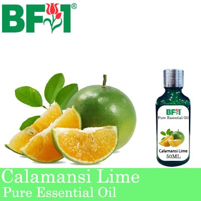 Pure Essential Oil (EO) - Lime - Calamansi Lime Essential Oil - 50ml