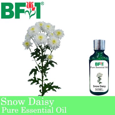 Pure Essential Oil (EO) - Snow Daisy Essential Oil - 50ml