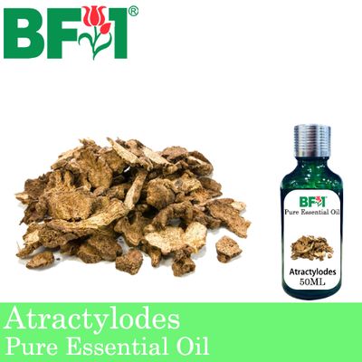 Pure Essential Oil (EO) - Atractylodes Essential Oil - 50ml
