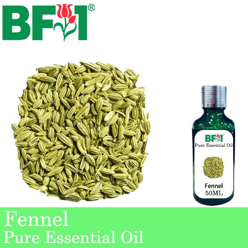 Pure Essential Oil (EO) - Fennel Essential Oil - 50ml