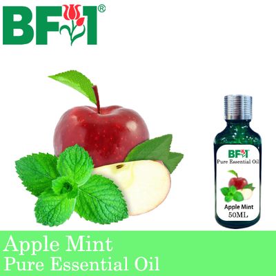 Pure Essential Oil (EO) - Mint - Apple Mint ( Mentha Suaveolens ) Essential Oil - 50ml
