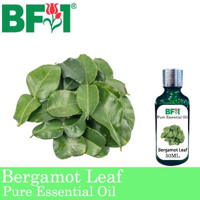 Pure Essential Oil (EO) - Bergamot Leaf Essential Oil - 50ml