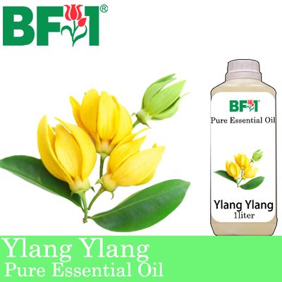 Pure Essential Oil (EO) - Ylang Ylang Essential Oil - 1L Pure Essential Oil (EO) - Ylang Ylang Essential Oil - 1L