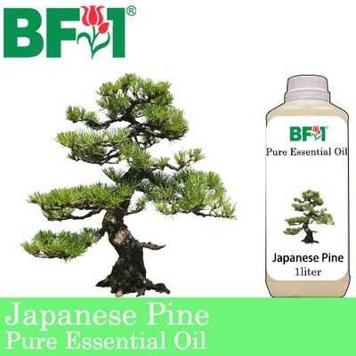 Pure Essential Oil (EO) - Pine - Japanese Pine Essential Oil - 1L