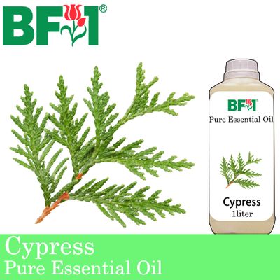 Pure Essential Oil (EO) - Cypress Essential Oil - 1L