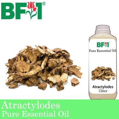 Pure Essential Oil (EO) - Atractylodes Essential Oil - 1L