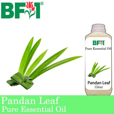 Pure Essential Oil (EO) - Pandan Leaf Essential Oil - 1L