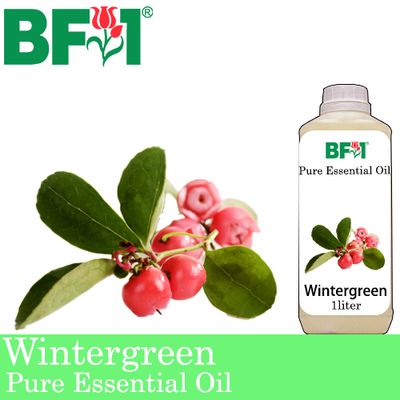 Pure Essential Oil (EO) - Wintergreen Essential Oil - 1L