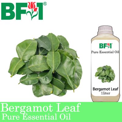 Pure Essential Oil (EO) - Bergamot Leaf Essential Oil - 1L
