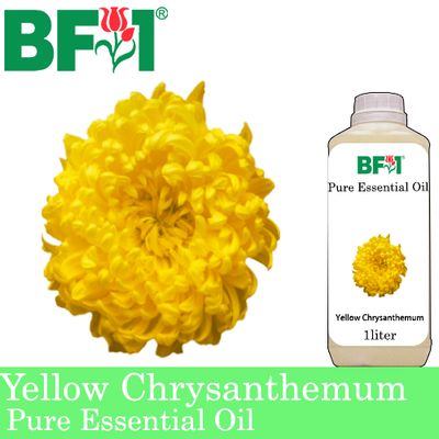 Pure Essential Oil (EO) - Chrysanthemum - Yellow Chrysanthemum Essential Oil - 1L