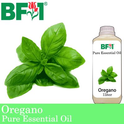 Pure Essential Oil (EO) - Oregano ( Origanum Vulgare ) Essential Oil - 1L