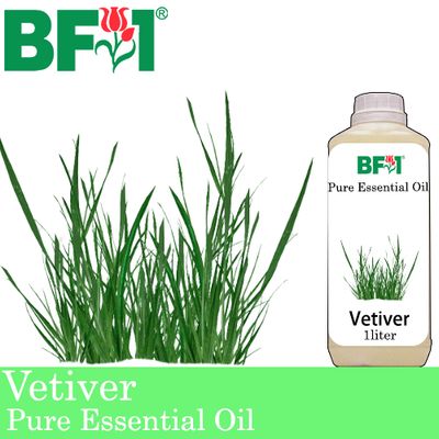 Pure Essential Oil (EO) - Vetiver Essential Oil - 1L