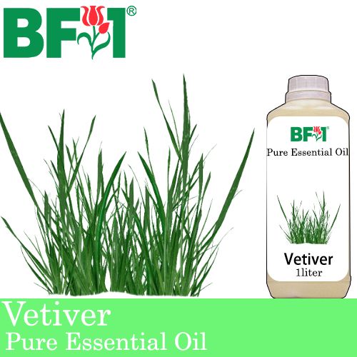 Pure Essential Oil (EO) - Vetiver Essential Oil - 1L