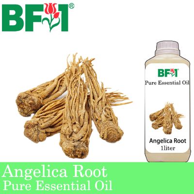 Pure Essential Oil (EO) - Angelica Root Essential Oil - 1L