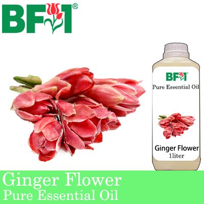 Pure Essential Oil (EO) - Ginger Flower Essential Oil - 1L Pure Essential Oil (EO) - Ginger Flower Essential Oil - 1L
