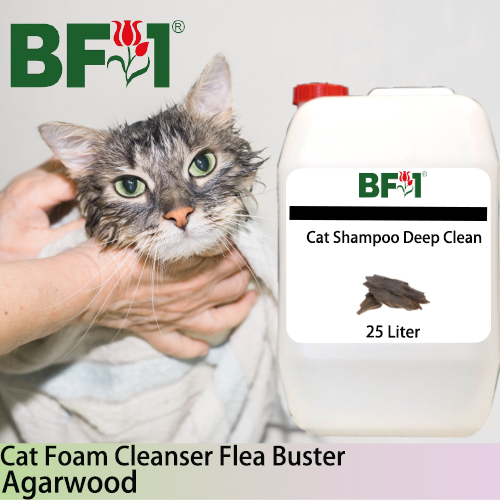 Cat Shampoo Deep Clean (CSDC-Cat) - Agarwood - 25L ⭐⭐⭐⭐⭐ Cat Shampoo Deep Clean (CSDC-Cat) - Agarwood - 25L ⭐⭐⭐⭐⭐