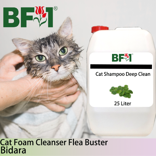 Cat Shampoo Deep Clean (CSDC-Cat) - Bidara - 25L ⭐⭐⭐⭐⭐ Cat Shampoo Deep Clean (CSDC-Cat) - Bidara - 25L ⭐⭐⭐⭐⭐