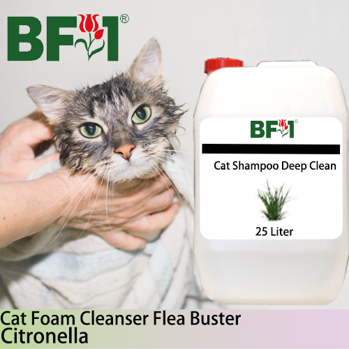 Cat Shampoo Deep Clean (CSDC-Cat) - Citronella - 25L ⭐⭐⭐⭐⭐ Cat Shampoo Deep Clean (CSDC-Cat) - Citronella - 25L ⭐⭐⭐⭐⭐