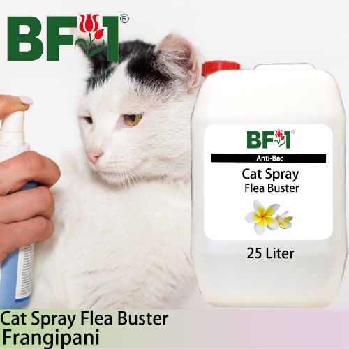 Cat Spray Flea Buster (CSY-Cat) - Frangipani - 25L ⭐⭐⭐⭐⭐ Cat Spray Flea Buster (CSY-Cat) - Frangipani - 25L ⭐⭐⭐⭐⭐