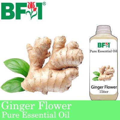 Pure Essential Oil (EO) - Ginger Essential Oil - 1L