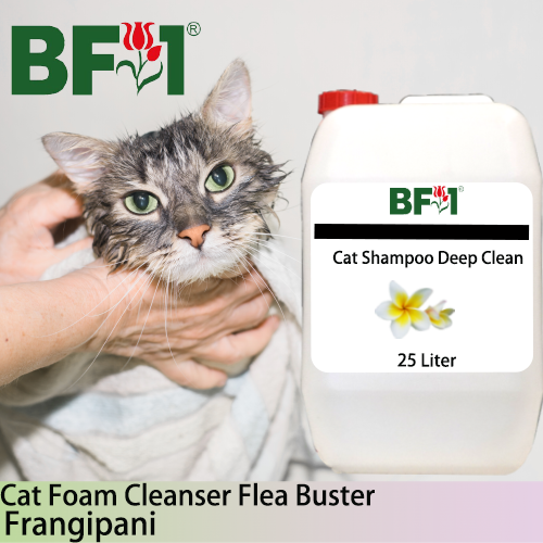 Cat Shampoo Deep Clean (CSDC-Cat) - Frangipani - 25L ⭐⭐⭐⭐⭐ Cat Shampoo Deep Clean (CSDC-Cat) - Frangipani - 25L ⭐⭐⭐⭐⭐