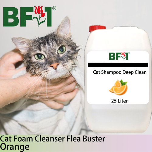 Cat Shampoo Deep Clean (CSDC-Cat) - Orange - 25L ⭐⭐⭐⭐⭐ Cat Shampoo Deep Clean (CSDC-Cat) - Orange - 25L ⭐⭐⭐⭐⭐