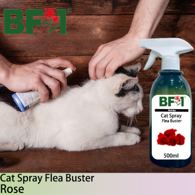 Cat Spray Flea Buster (CSY-Cat) - Rose - 500ml ⭐⭐⭐⭐⭐