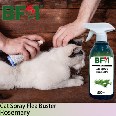 Cat Spray Flea Buster (CSY-Cat) - Rosemary - 500ml ⭐⭐⭐⭐⭐
