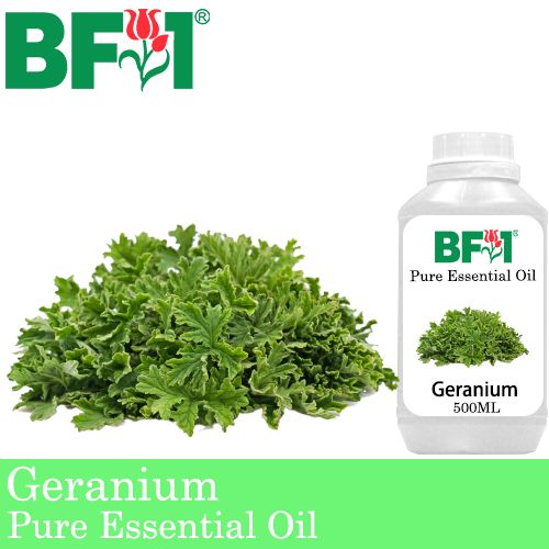 Pure Essential Oil (EO) - Geranium Essential Oil - 500ml Pure Essential Oil (EO) - Geranium Essential Oil - 500ml