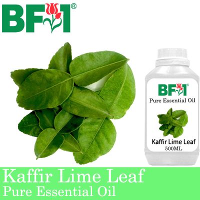 Pure Essential Oil (EO) - Lime - Kaffir Lime Leaf Essential Oil - 500ml