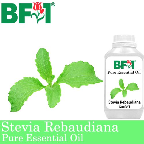 Pure Essential Oil (EO) - Stevia ( Stevia Rebaudiana ) Essential Oil - 500ml Pure Essential Oil (EO) - Stevia ( Stevia Rebaudiana ) Essential Oil - 500ml