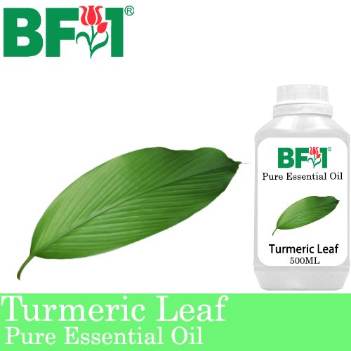 Pure Essential Oil (EO) - Turmeric Leaf Essential Oil - 500ml Pure Essential Oil (EO) - Turmeric Leaf Essential Oil - 500ml