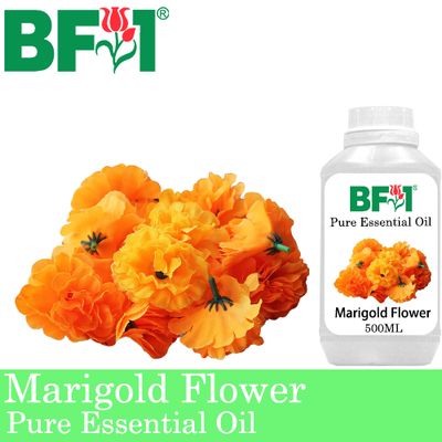 Pure Essential Oil (EO) - Marigold Flower Essential Oil - 500ml