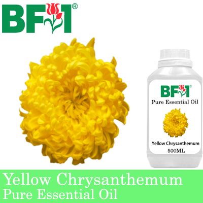 Pure Essential Oil (EO) - Chrysanthemum - Yellow Chrysanthemum Essential Oil - 500ml
