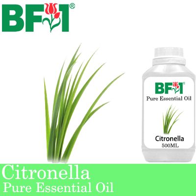Pure Essential Oil (EO) - Citronella ( Java Citronella ) Essential Oil - 500ml
