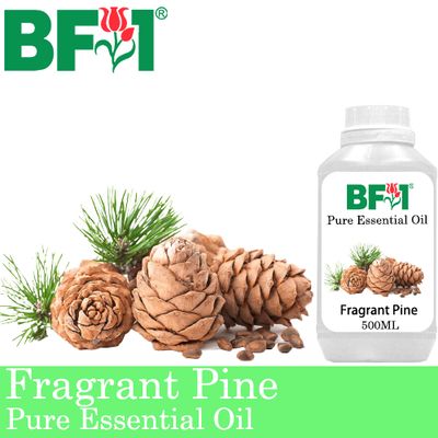 Pure Essential Oil (EO) - Pine - Fragrant Pine Essential Oil - 500ml