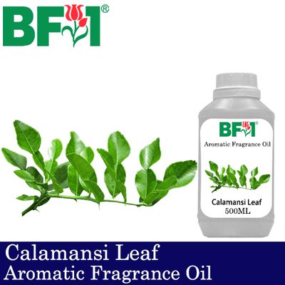 Aromatic Fragrance Oil (AFO) - Calamansi Leaf - 500ml Aromatic Fragrance Oil (AFO) - Calamansi Leaf - 500ml