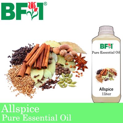 Pure Essential Oil (EO) - Allspice Essential Oil - 1L