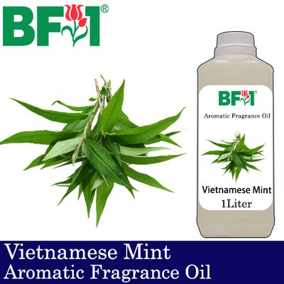 Aromatic Fragrance Oil (AFO) - Vietnamese Mint - 1L
