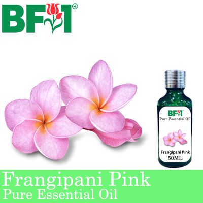 Pure Essential Oil (EO) - Frangipani Pink Essential Oil - 50ml