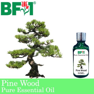 Pure Essential Oil (EO) - Pine - Japanese Pine Essential Oil - 50ml