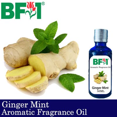 Aromatic Fragrance Oil (AFO) - Ginger Mint - 50ml