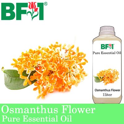 Pure Essential Oil (EO) - Osmanthus Flower Essential Oil - 1L