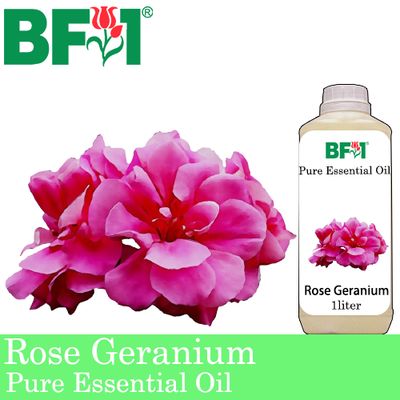 Pure Essential Oil (EO) - Geranium - Rose Geranium Essential Oil - 1L