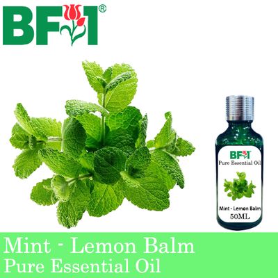 Pure Essential Oil (EO) - Mint - Lemon Balm ( Melissa Officinalis ) Essential Oil - 50ml
